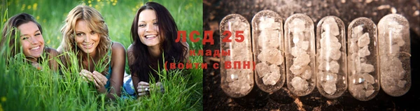 мескалин Абаза